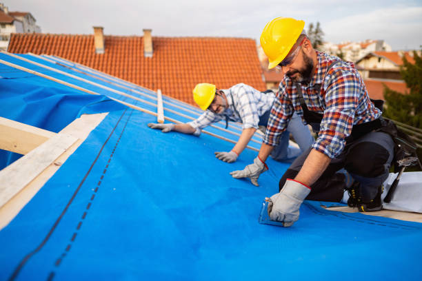 Best Roof Repair Services  in Metropolis, IL