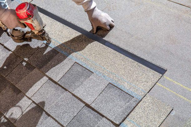 Best Roof Gutter Cleaning  in Metropolis, IL